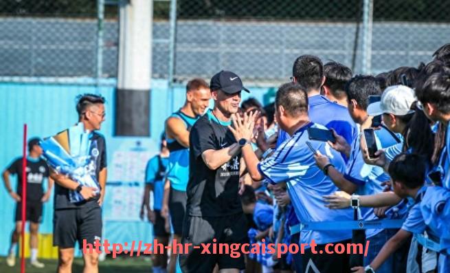 杏彩体育-英超足球队斯旺西的俱乐部历史及联赛表现