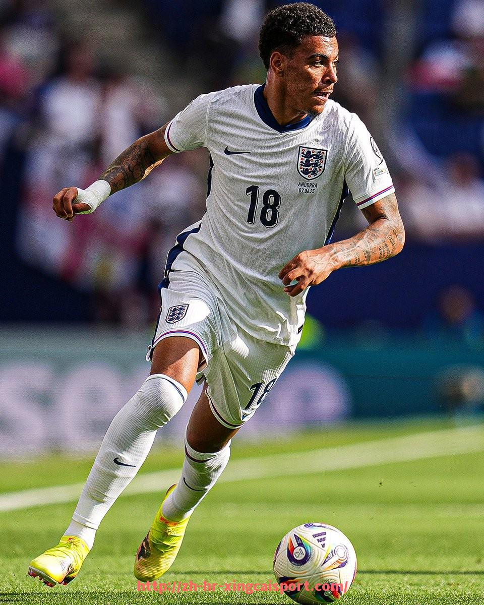 杏彩体育-世俱杯体育公关事件分析及舆情应对策略探讨