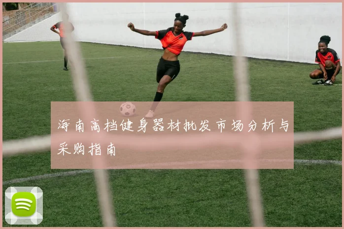 海南高档健身器材批发市场分析与采购指南