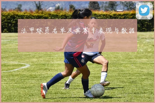 法甲球员名单及其赛季表现与数据