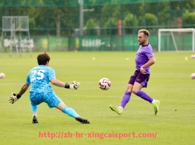 杏彩体育-世俱杯球员所获荣誉与欧洲赛事奖项对比研究报告